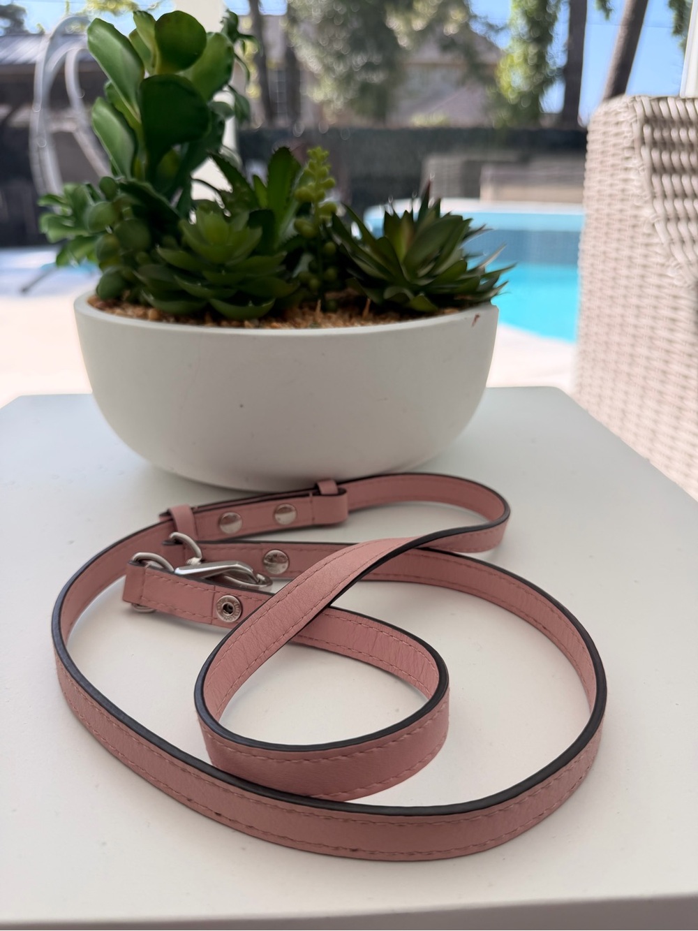 Louis Vuitton Pink Crossbody Strap